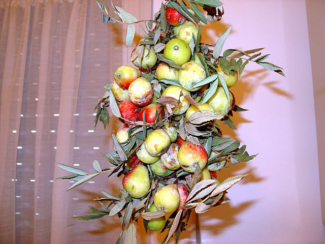 autunno 005.jpg