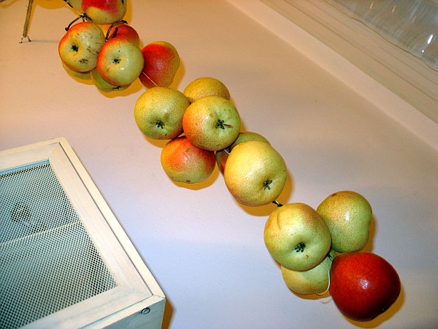 autunno 007.jpg