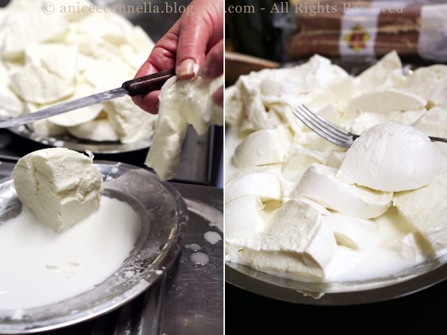 mozzarelle-di-Antonia.jpg
