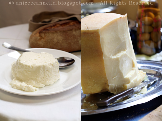 formaggi-1.jpg