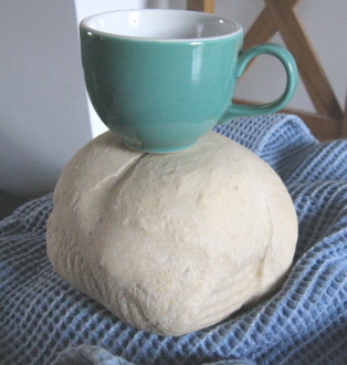 panettocontazzina.jpg