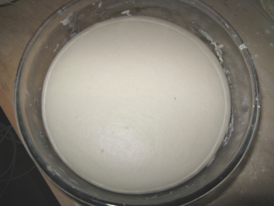 dopotreoredilievitazione.jpg