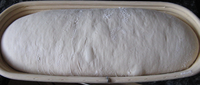 lievitatolungo.jpg