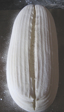 incisolungo.jpg