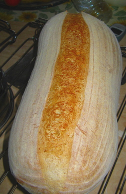cottolungo.jpg