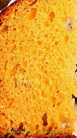 panettone alveoli ridotta.jpg