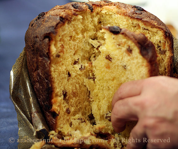 panettone-di-ciccio.jpg