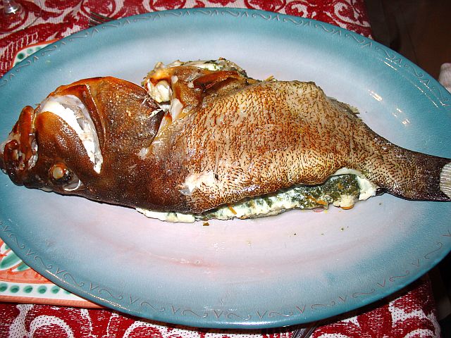 cernia 006.jpg