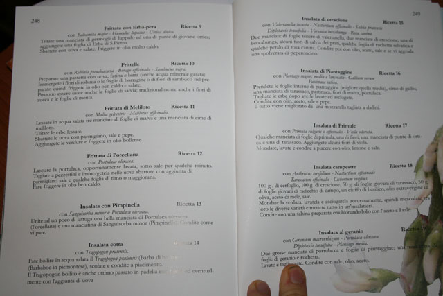 foto 409 book03.jpg