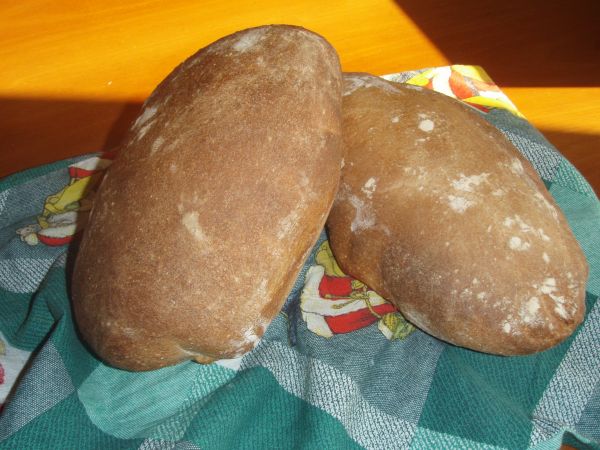 pane ted birra.jpg