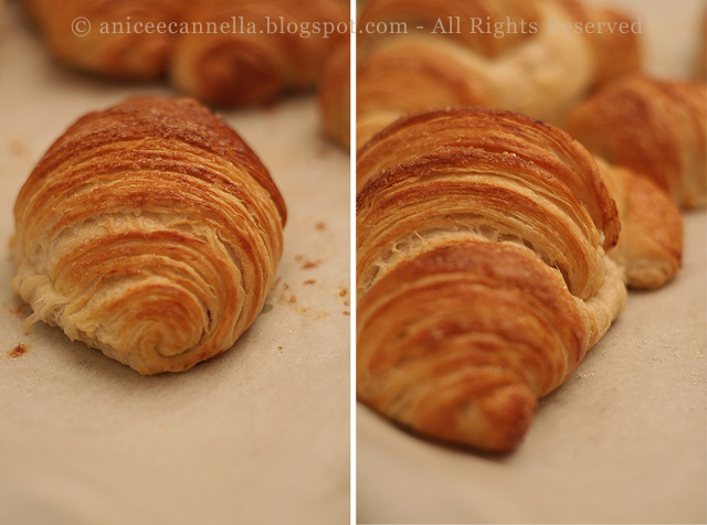 croissant.jpg