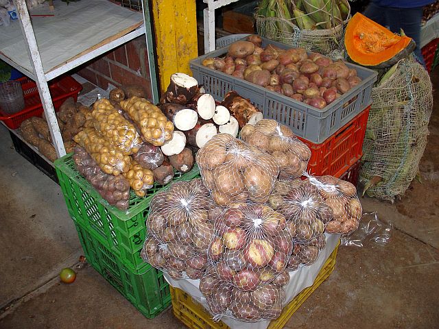 colombia 041a.jpg