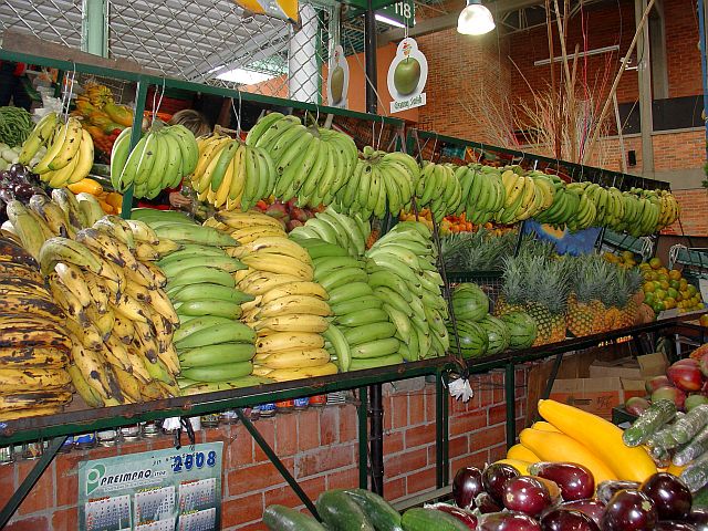 colombia 044a.jpg