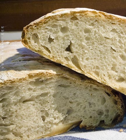 pane_lievito_naturalep.jpg