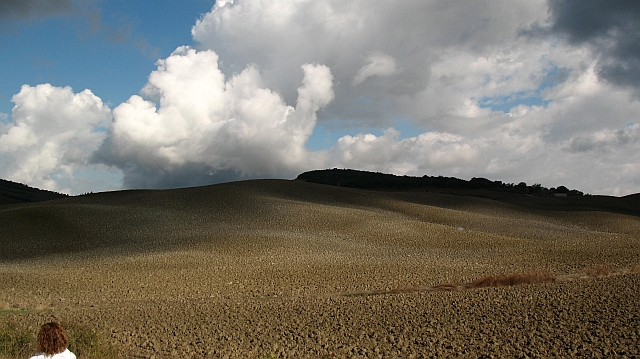 Paoletta verso Montepulciano.jpg