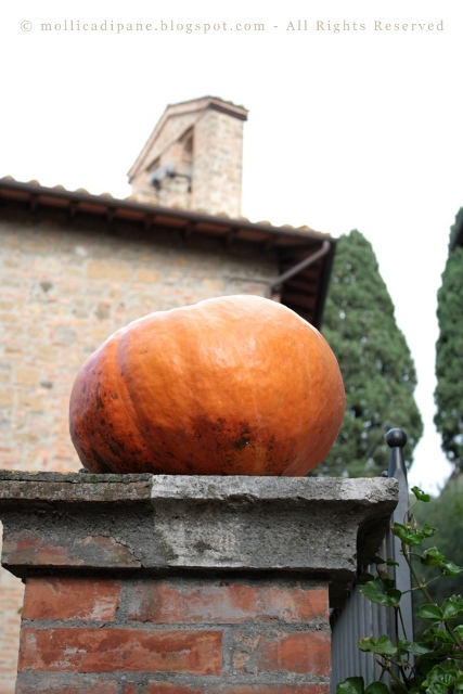 la zucca g.JPG