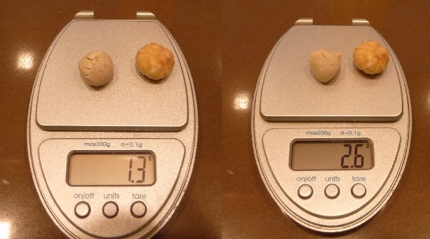 Lievito e Nocciola.jpg