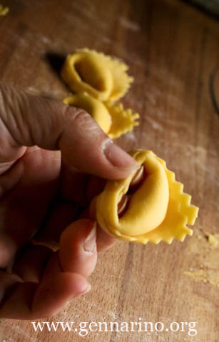 tortelli ricotta.jpg