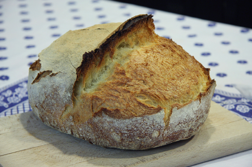 panedisemola.jpg
