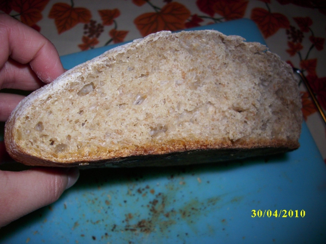 pane1.JPG