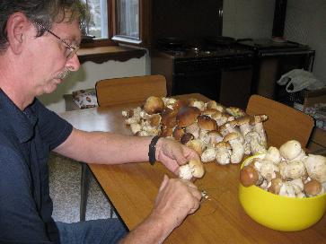 funghi nerio.jpg