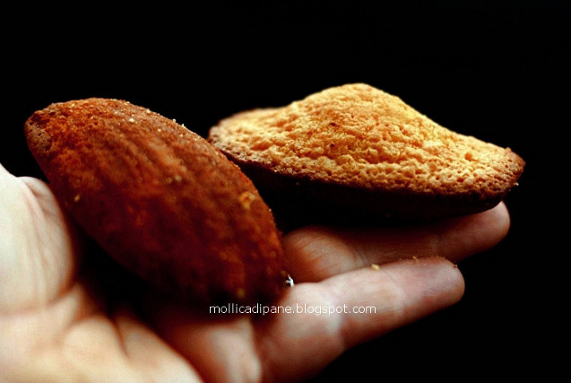 MADELEINES DI ADRIANO g.jpg