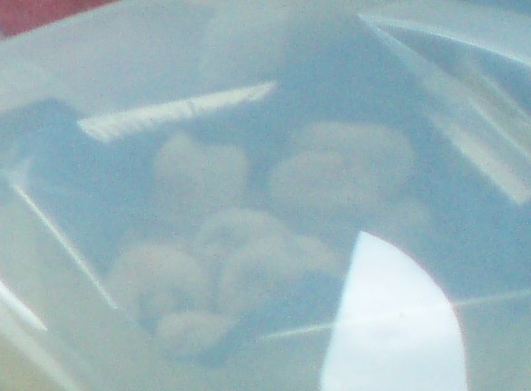 olive in crosta piccanti.JPG