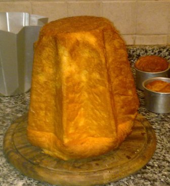 pandoro.jpg
