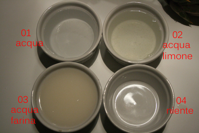 Carciofo 01.jpg