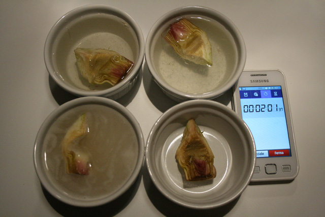 Carciofo 04 (02 minuti).jpg