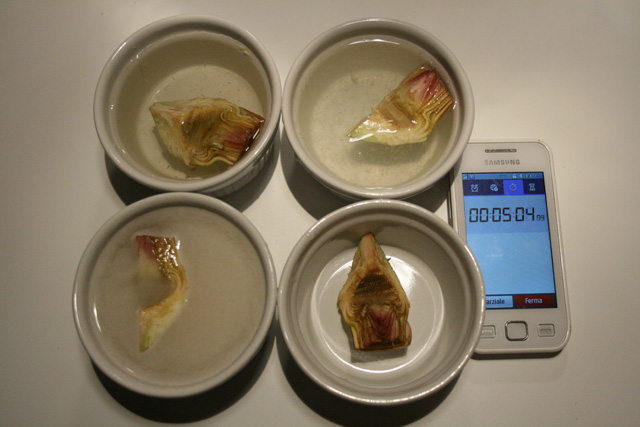 Carciofo 07 (05 minuti).jpg