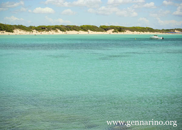 punta prosciuttom.jpg
