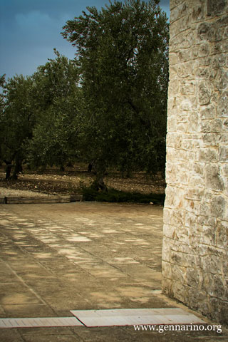 oliveto_sdonkp.jpg