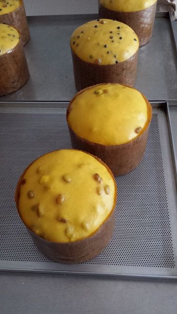 panettone massi crudo.jpg