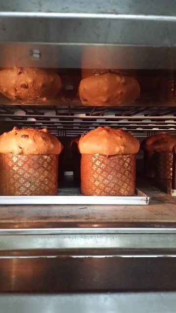 panettone massi cotto.jpg