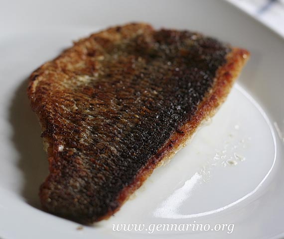 calamarata branzino-2p.jpg