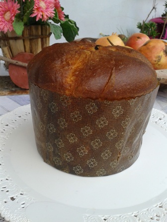 5panettone 2014-11-09 08.56.01.jpg