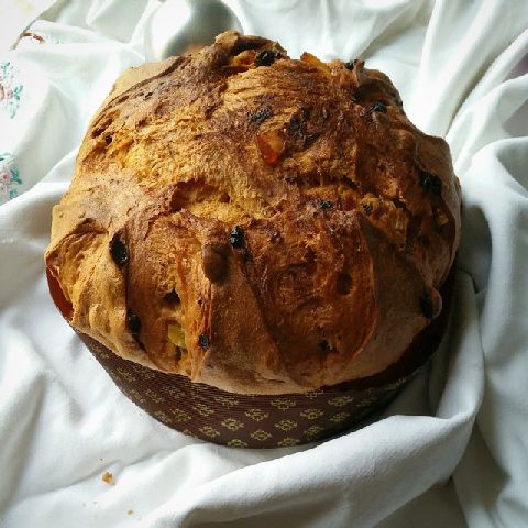 panettone morandin1.jpg