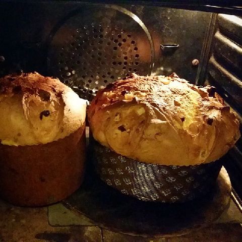 panettone morandin2.jpg