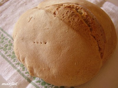 pane1.jpg