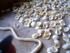 orecchiette da sugo