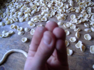 orecchiette da sugo