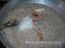 preparazione risotto