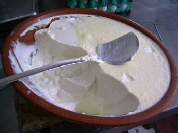 La preparazione dello yogurt