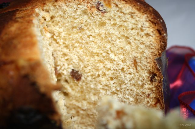 panettone interno 092.jpg