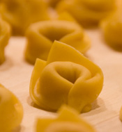 tortelliniA.jpg