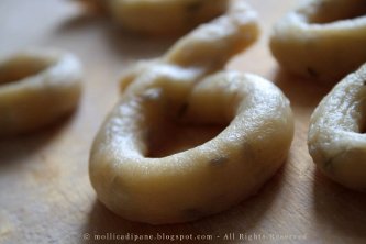 taralli al finocchio g071.jpg