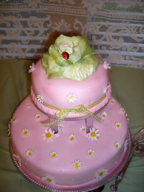 sabrina baby showercake3-1.jpg