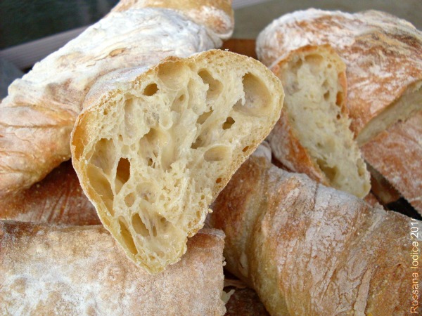 ciabatta_noknead2.jpg