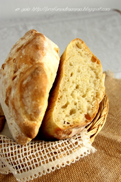 PaneCiabatta1_.jpg